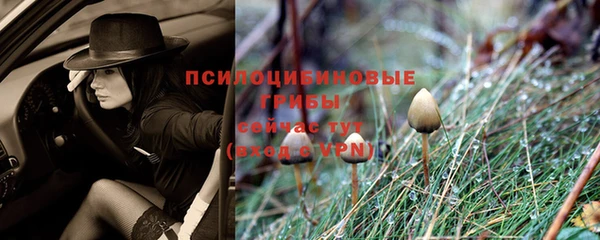 ALPHA-PVP Струнино