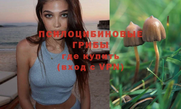 прущая мука Строитель